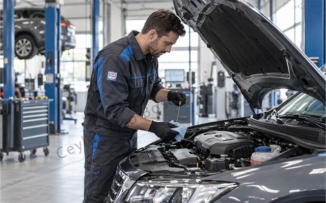 Araç Bakım ve Servis Hizmetleri
